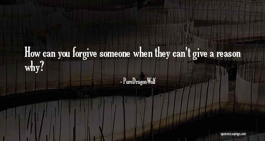 Can Forgive But Cannot Forget Quotes By PureDragonWolf Can Forgive But Cannot Forget Quotes By PureDragonWolf
