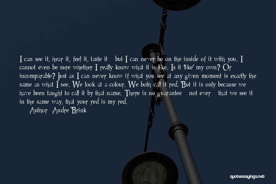 Can I Be Your Quotes By Andre Brink