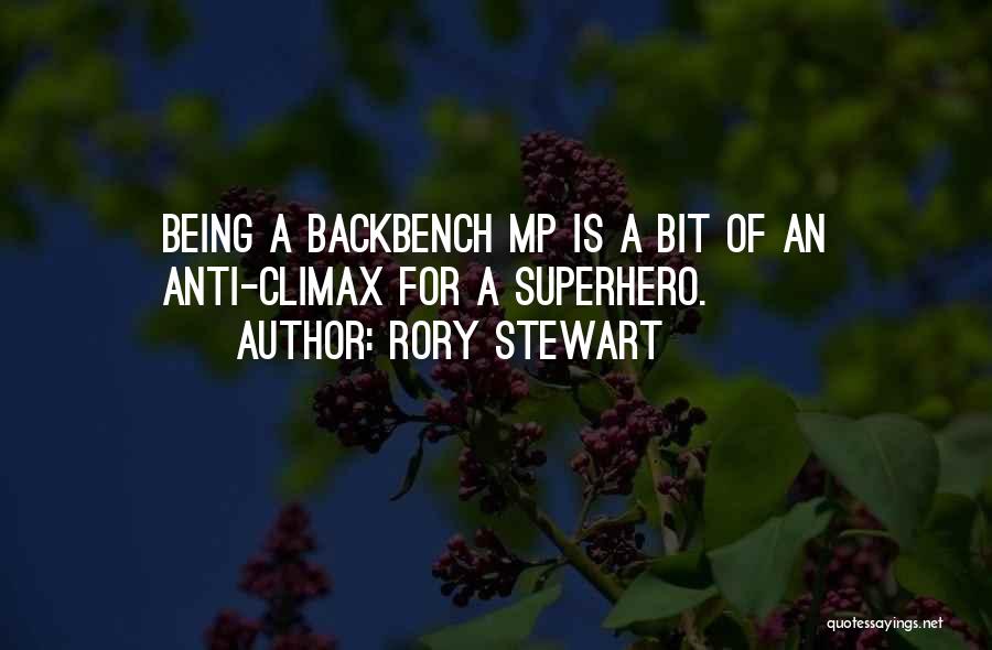 Can I Be Your Superhero Quotes By Rory Stewart
