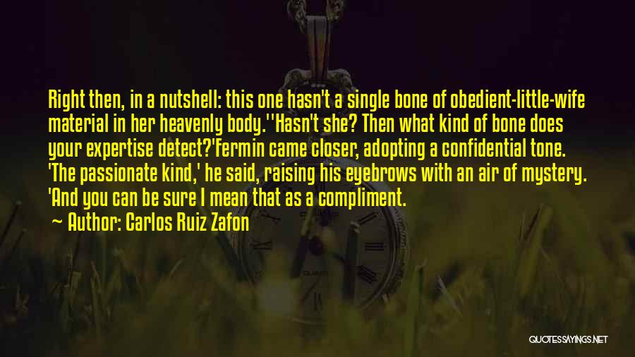 Can I Be Your Wife Quotes By Carlos Ruiz Zafon