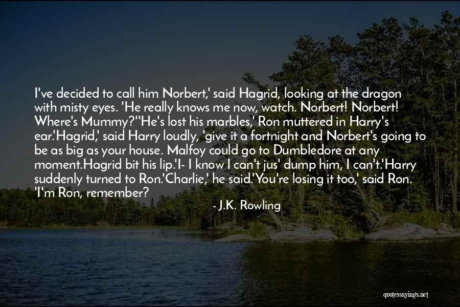 Can I Call You Quotes By J.K. Rowling