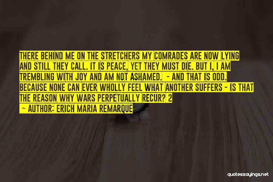 Can I Die Now Quotes By Erich Maria Remarque