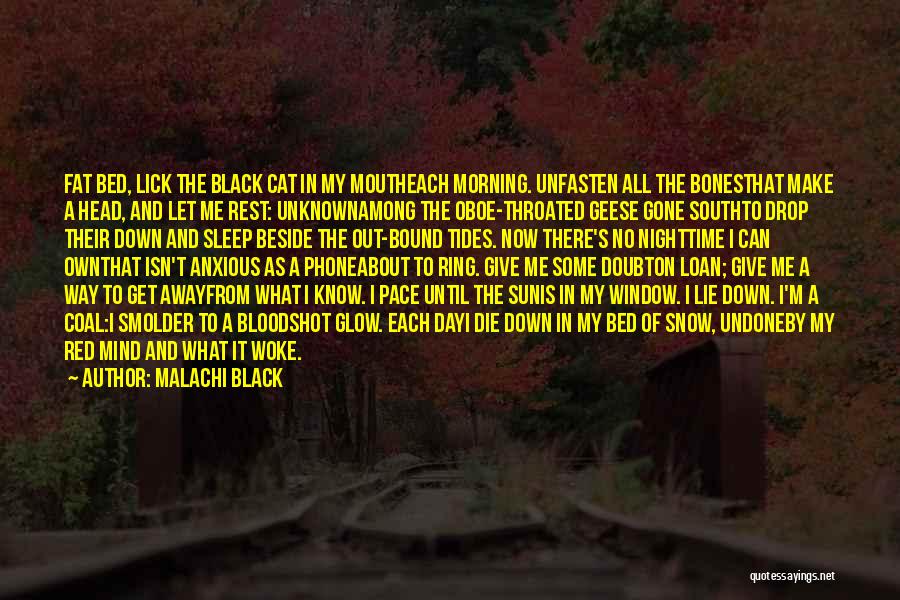 Can I Die Now Quotes By Malachi Black