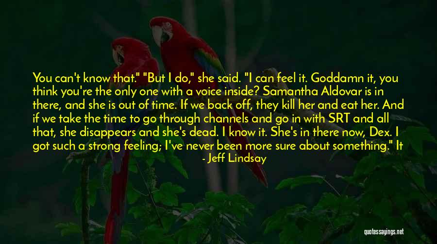 Can I Go Back In Time Quotes By Jeff Lindsay Can I Go Back In Time Quotes By Jeff Lindsay
