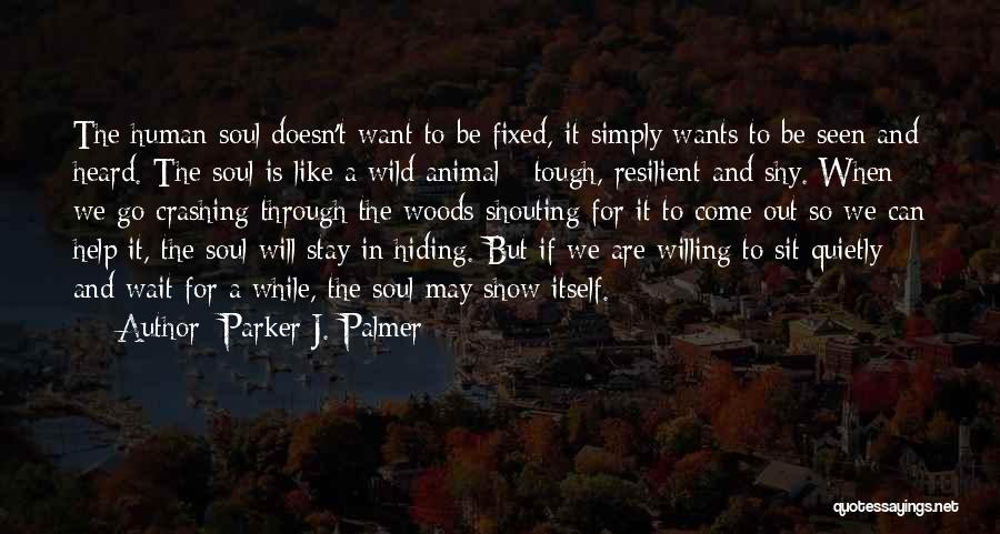 Can It Be Fixed Quotes By Parker J. Palmer