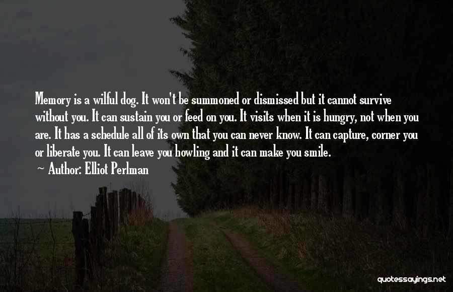 Can Make You Smile Quotes By Elliot Perlman