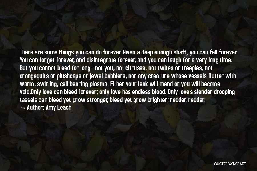 Can Never Forget You Quotes By Amy Leach
