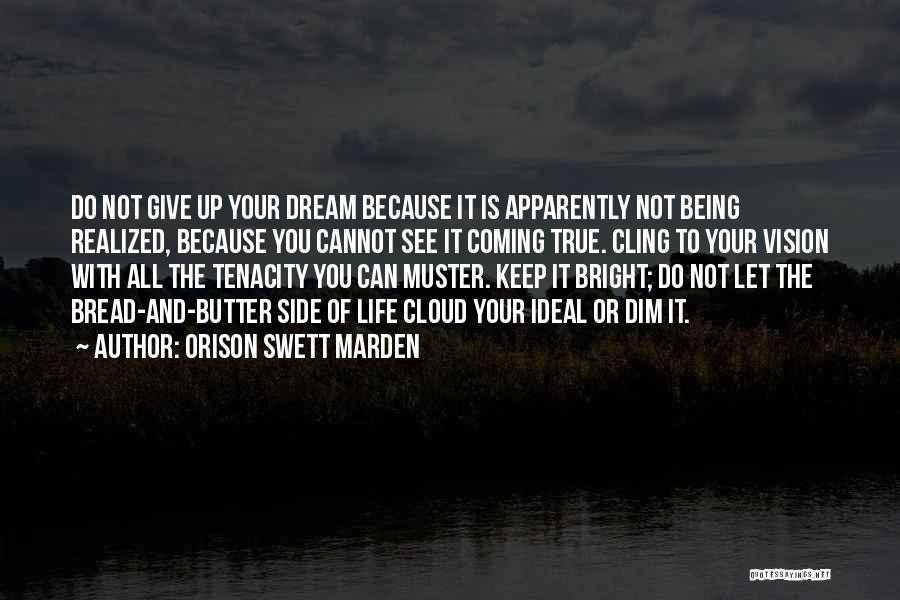 Can Not Give Up Quotes By Orison Swett Marden