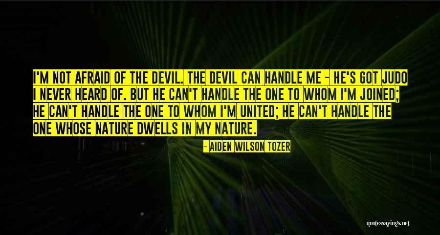 Can Not Handle Quotes By Aiden Wilson Tozer