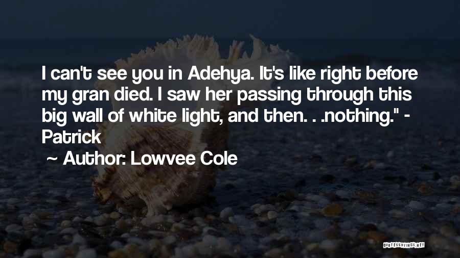 Can See Right Through Quotes By Lowvee Cole