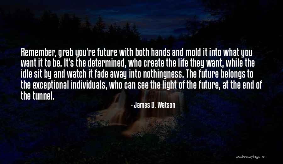 Can See The Light At The End Of The Tunnel Quotes By James D. Watson Can See The Light At The End Of The Tunnel Quotes By James D. Watson