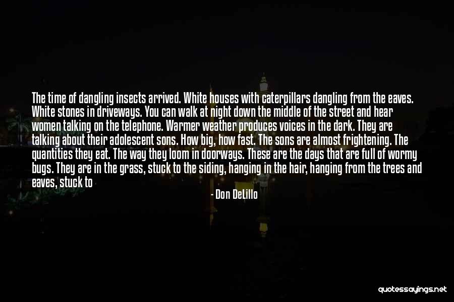 Can Siding Quotes By Don DeLillo