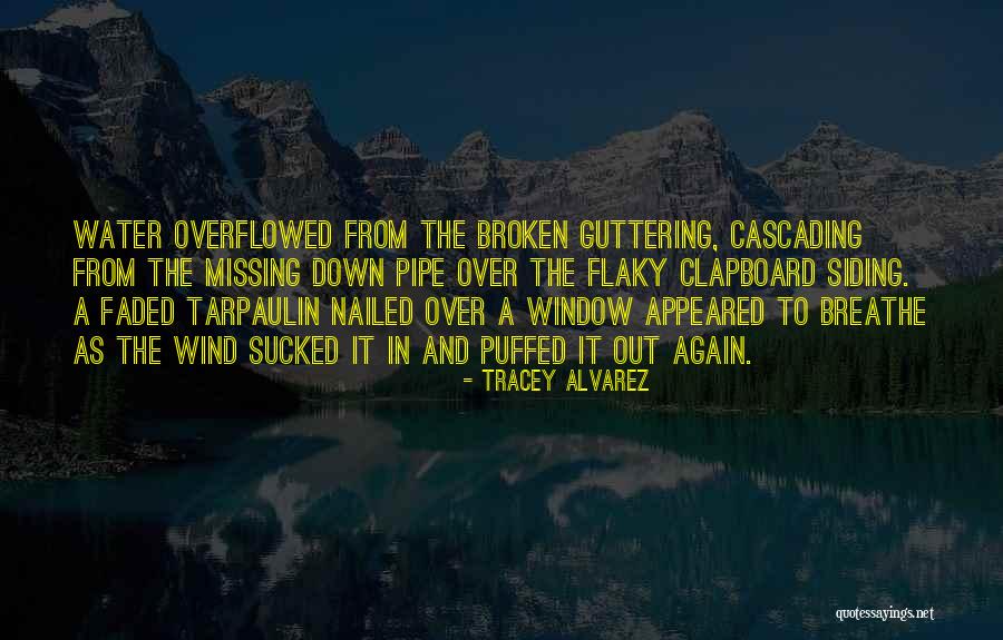 Can Siding Quotes By Tracey Alvarez Can Siding Quotes By Tracey Alvarez