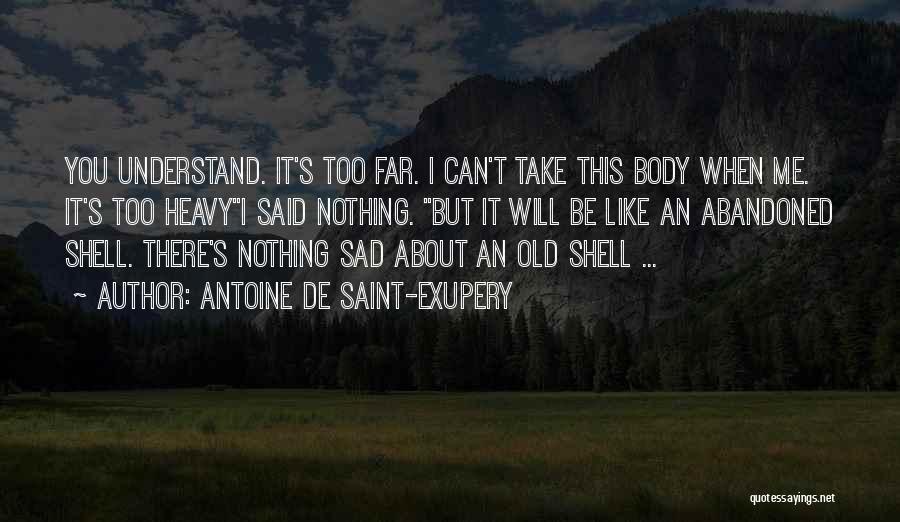 Can Understand Quotes By Antoine De Saint-Exupery