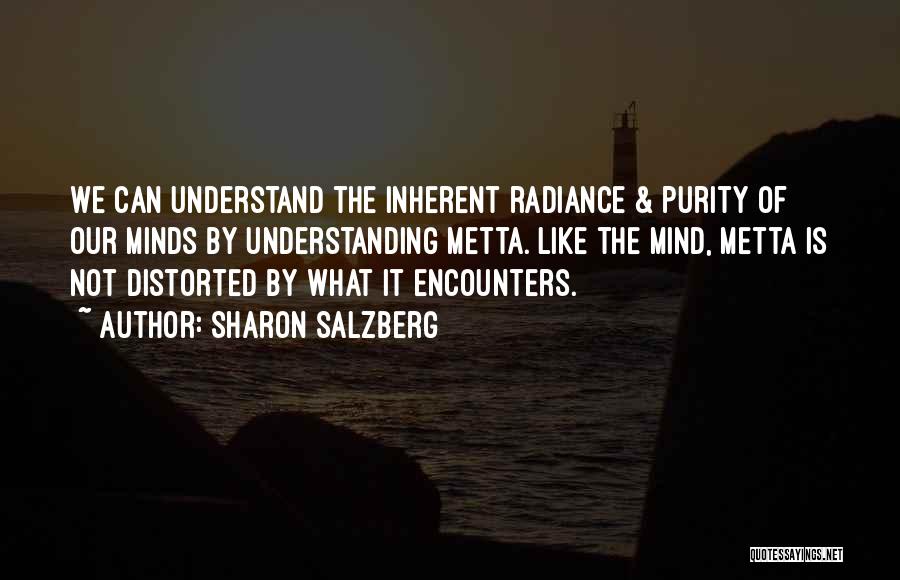 Can Understand Quotes By Sharon Salzberg