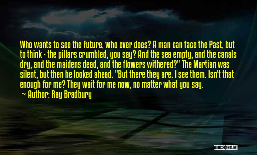 Can Wait To See You Quotes By Ray Bradbury