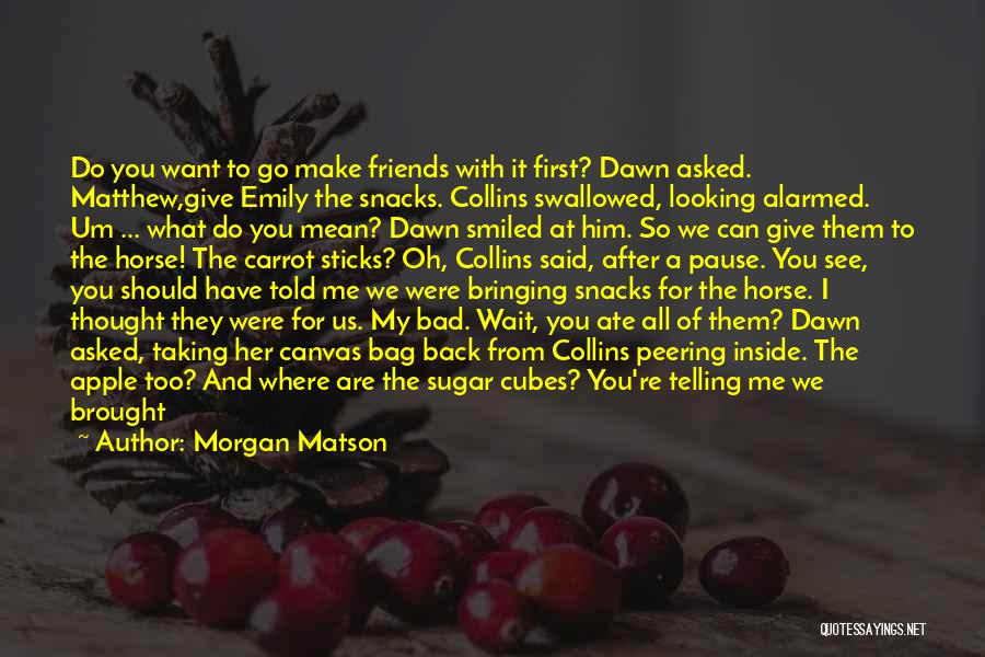 Can We Just Friends Quotes By Morgan Matson