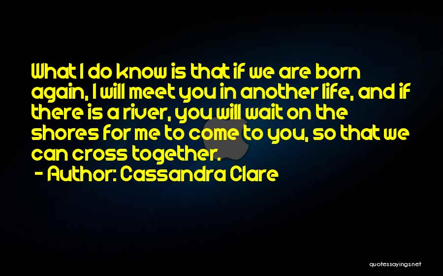 Can We Meet Again Quotes By Cassandra Clare