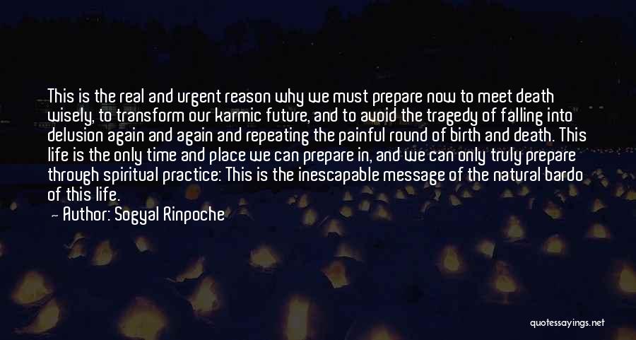 Can We Meet Again Quotes By Sogyal Rinpoche