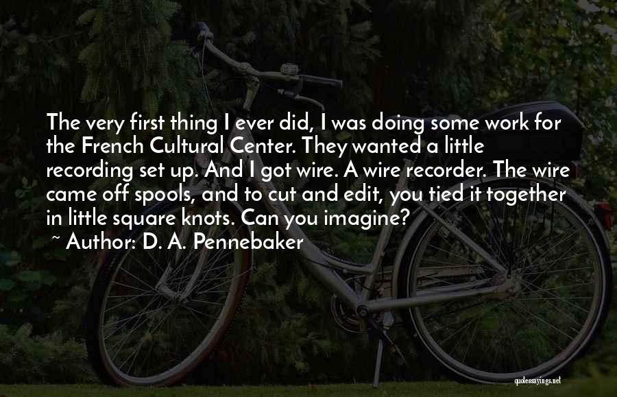 Can You Edit Quotes By D. A. Pennebaker
