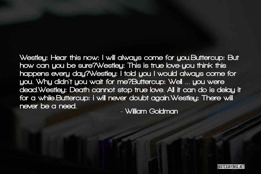 Can You Hear Me Now Quotes By William Goldman