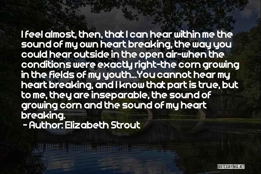 Can You Hear My Heart Quotes By Elizabeth Strout