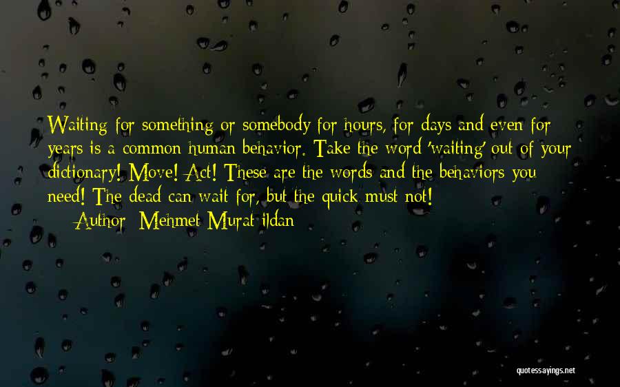 Can You Wait Quotes By Mehmet Murat Ildan