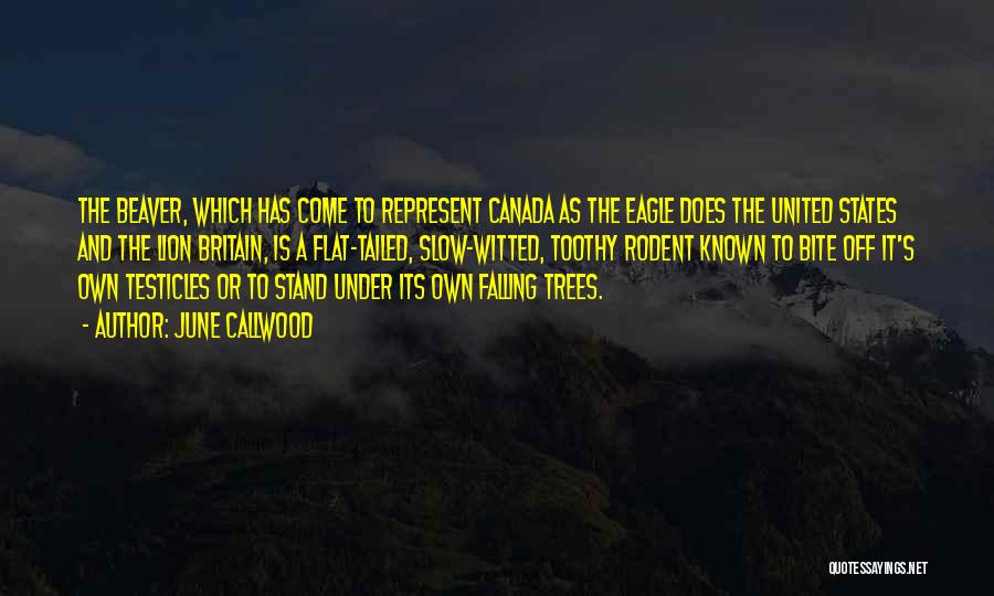 Canada And The United States Quotes By June Callwood
