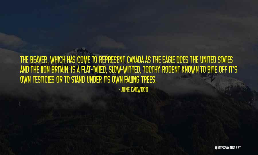 Canada And The United States Quotes By June Callwood