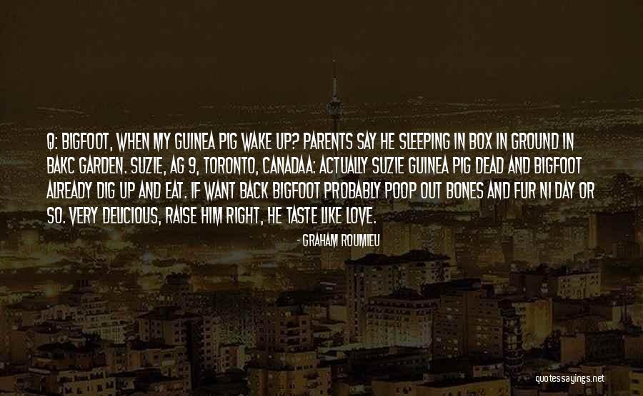 Canada Day Quotes By Graham Roumieu Canada Day Quotes By Graham Roumieu
