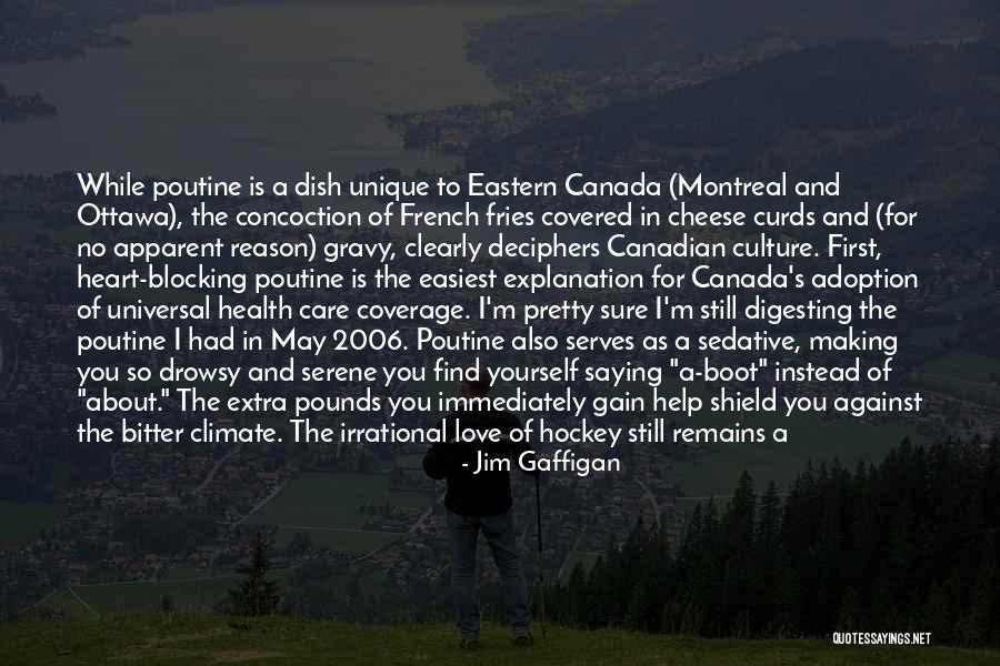 Canada Health Care Quotes By Jim Gaffigan