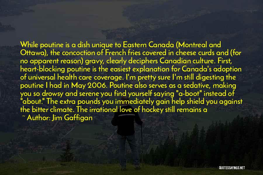 Canada Hockey Quotes By Jim Gaffigan