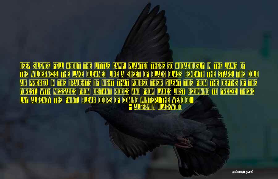 Canada Winter Quotes By Algernon Blackwood Canada Winter Quotes By Algernon Blackwood