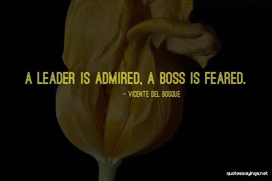 Canales De Television Quotes By Vicente Del Bosque Canales De Television Quotes By Vicente Del Bosque