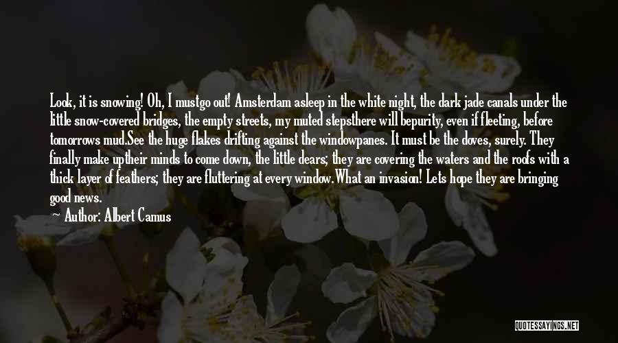 Canals Quotes By Albert Camus