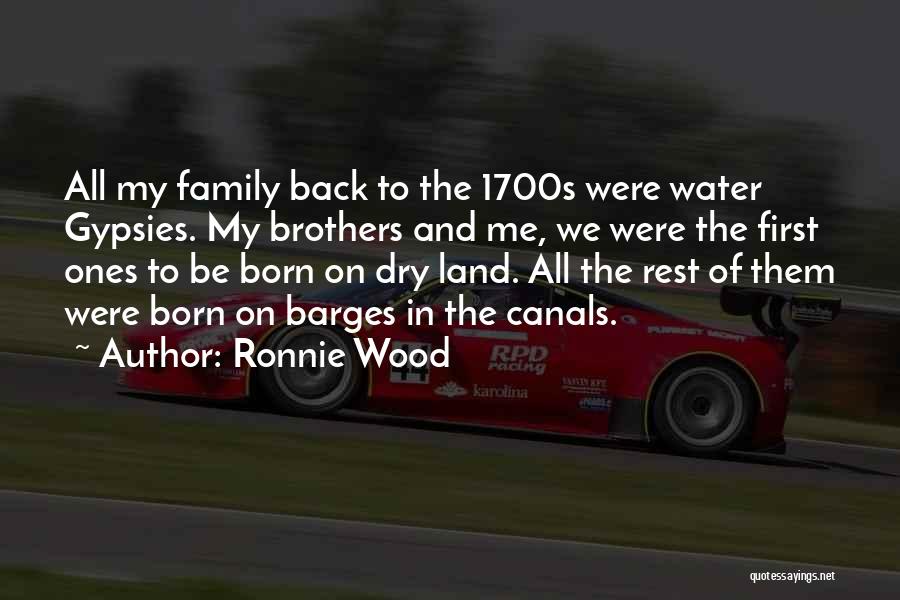 Canals Quotes By Ronnie Wood