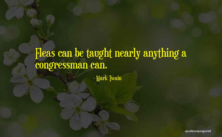 Canards On Aircraft Quotes By Mark Twain Canards On Aircraft Quotes By Mark Twain