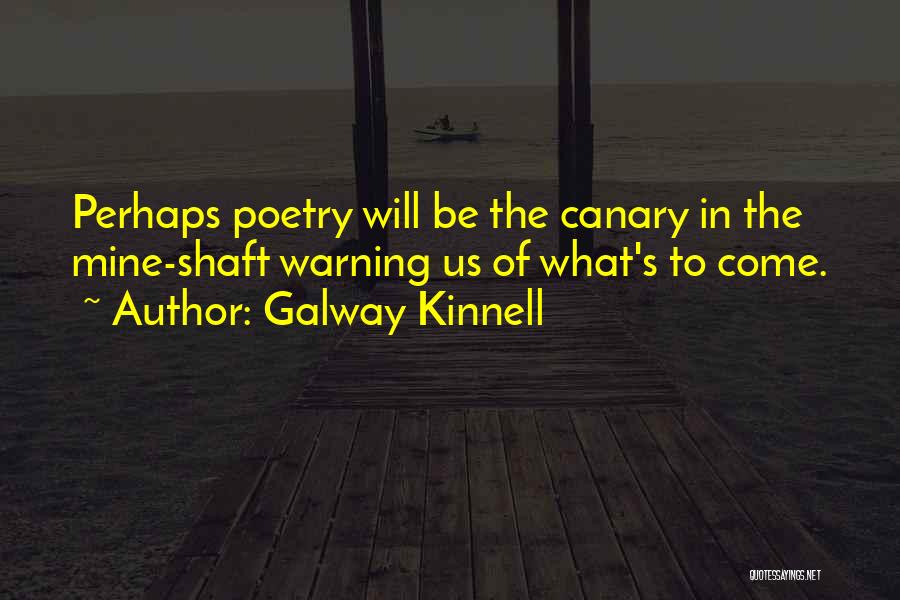 Canaries Quotes By Galway Kinnell