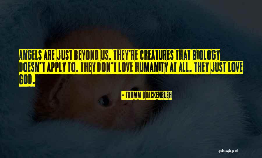 Canarios Quotes By Thomm Quackenbush
