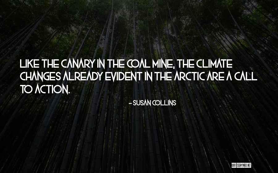 Canary In A Coal Mine Quotes By Susan Collins Canary In A Coal Mine Quotes By Susan Collins
