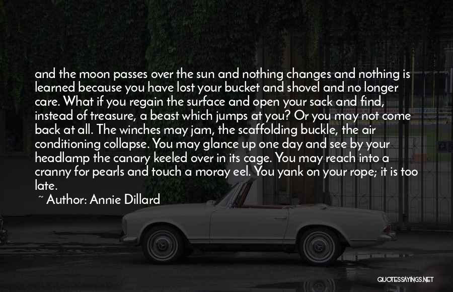 Canary Quotes By Annie Dillard