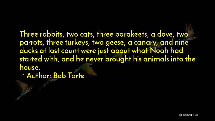 Canary Quotes By Bob Tarte
