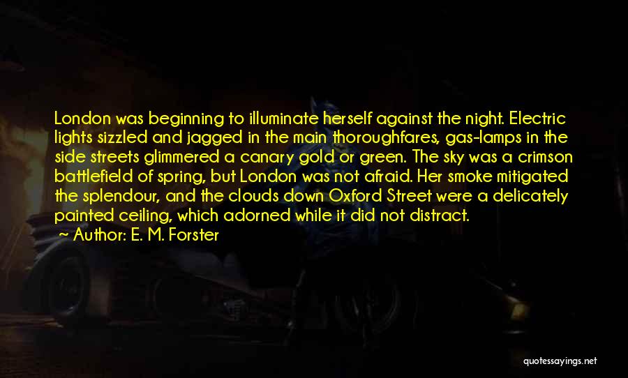 Canary Quotes By E. M. Forster