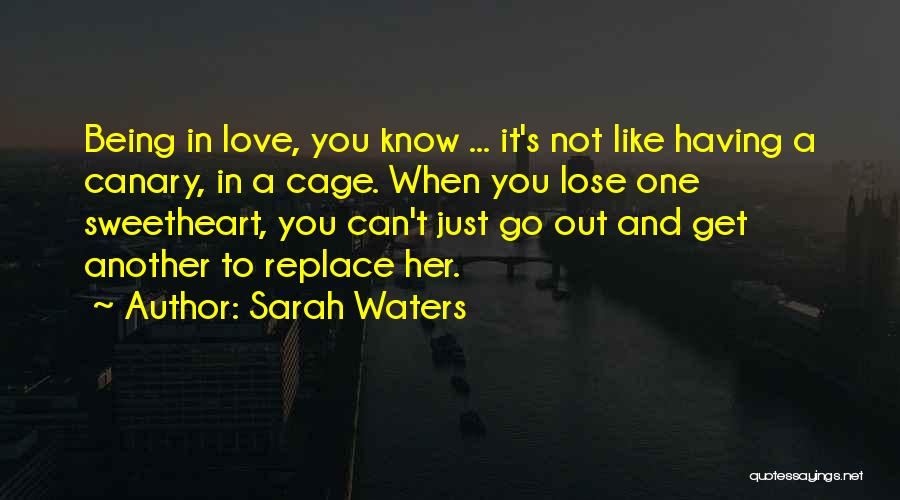 Canary Quotes By Sarah Waters