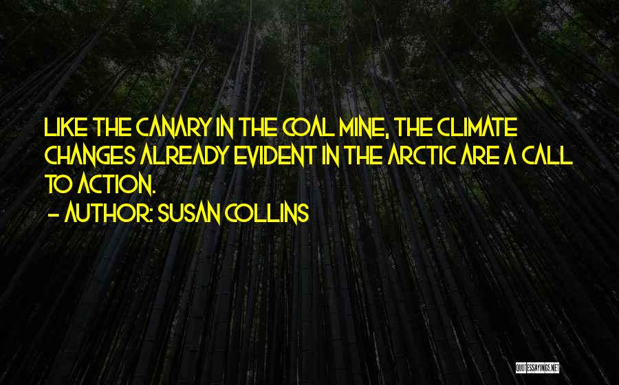 Canary Quotes By Susan Collins