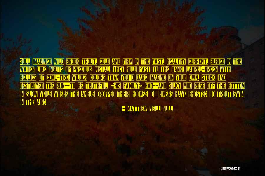 Canberk Denizli Quotes By Matthew Neill Null Canberk Denizli Quotes By Matthew Neill Null