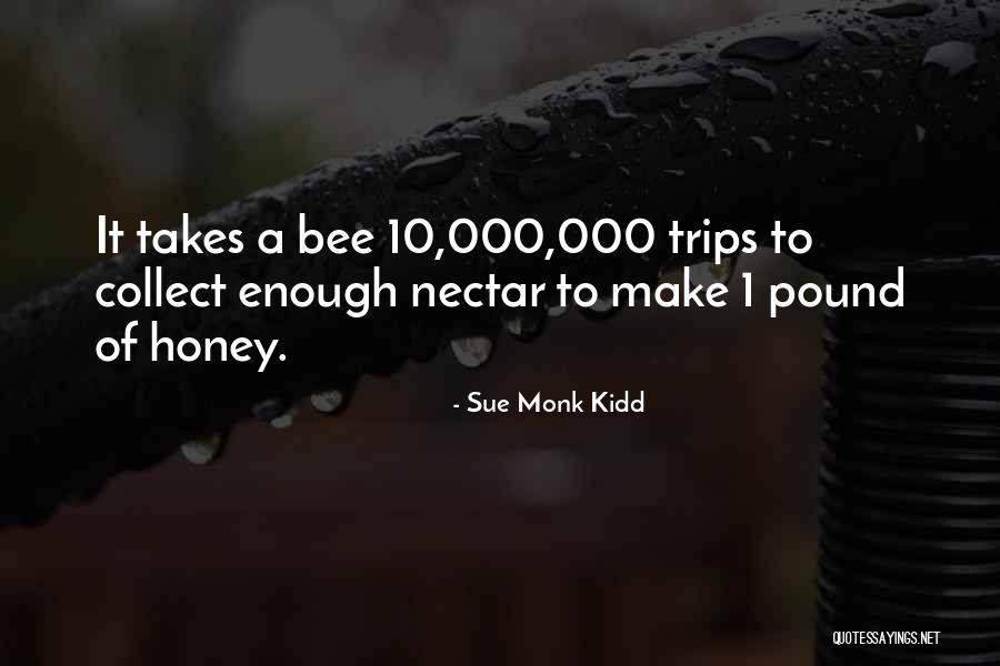 Cancelation Quotes By Sue Monk Kidd Cancelation Quotes By Sue Monk Kidd