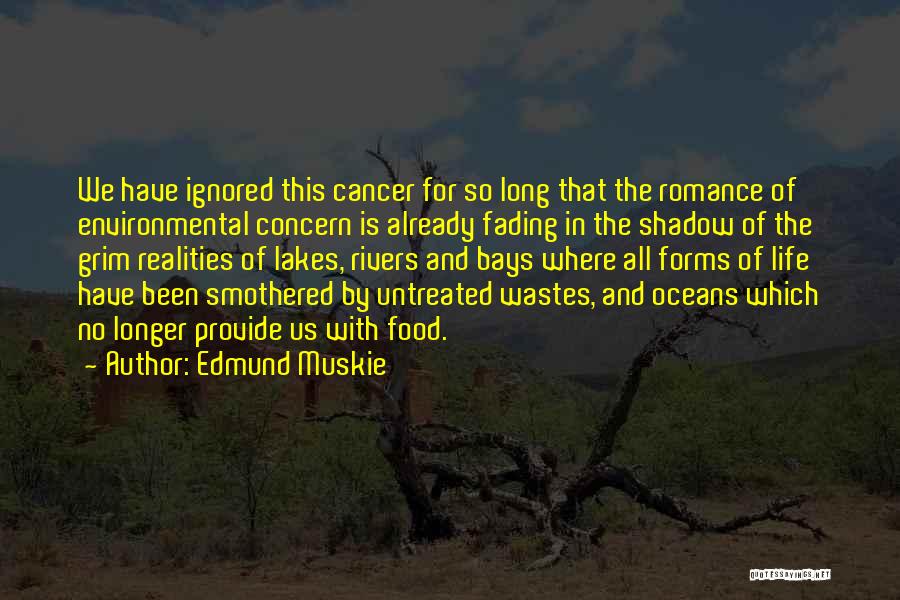 Cancer And Life Quotes By Edmund Muskie