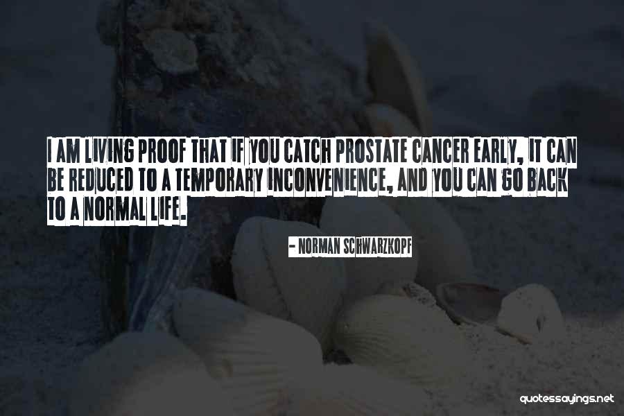 Cancer And Life Quotes By Norman Schwarzkopf Cancer And Life Quotes By Norman Schwarzkopf