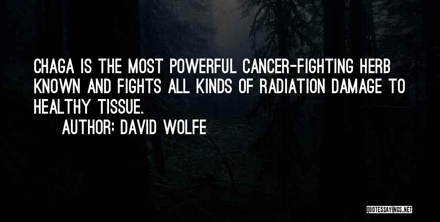 Cancer And Quotes By David Wolfe
